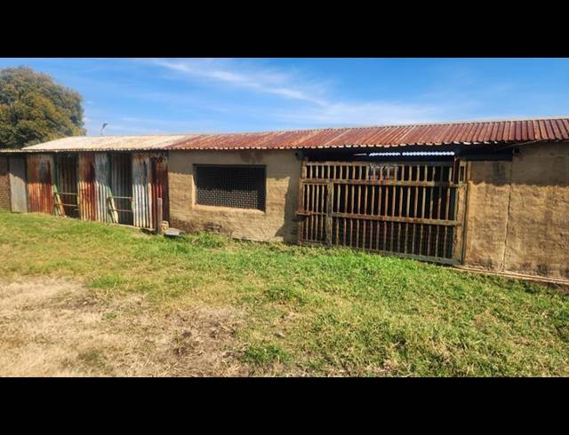 FARM FOR SALE IN WITFONTEIN